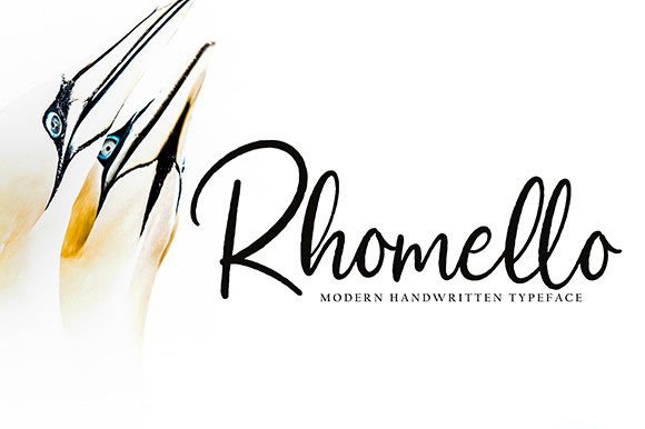 Rhomello: A Versatile Script Font for Modern Web Design